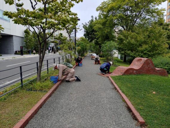 花壇と園路の除草をするお助け隊