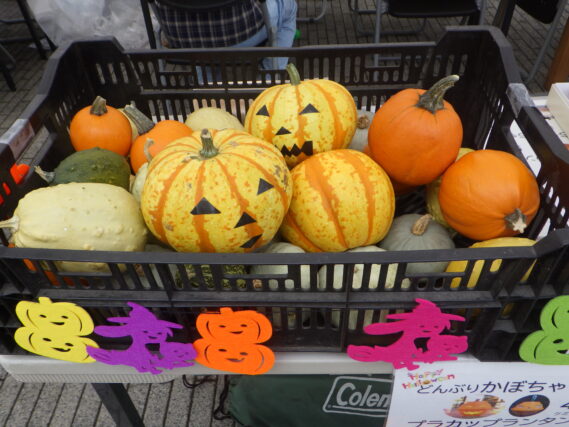 創成川ハロウィンのおもちゃカボチャ