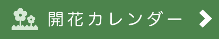 開花カレンダー
