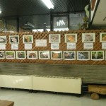 きのこ展（予告編）