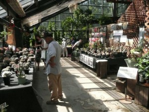 サボテンと多肉植物展