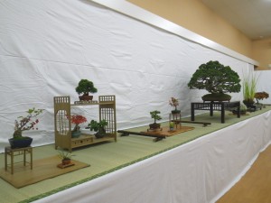 秋の風流盆栽展