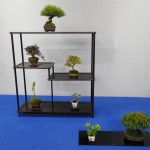 ミニ盆栽展・山野草展