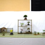 「春の風流盆栽展」