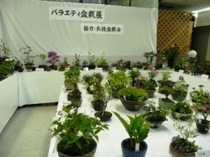 バラエティ盆栽展＆山野草展