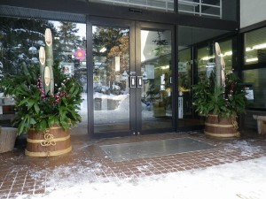 謹賀新年＆センターだより