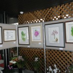 H25ボタニカル (1)