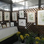 H25ボタニカル (4)