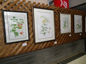 H25ボタニカル (5)