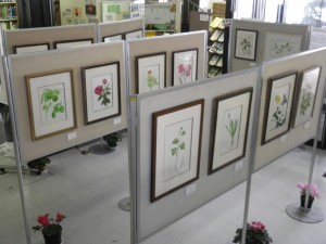 H25ボタニカル (6)