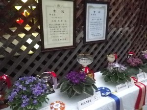 H25セントポーリア上位４賞2