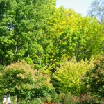 センターだより10月号が出来上がりました