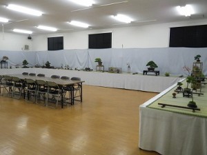 「秋の風流盆栽展」が始まります＆紅葉