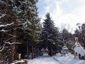 緑のセンターの年末年始の休館日について
