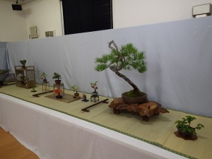 「秋の風流盆栽展」と園内の紅葉