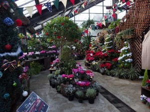 「クリスマス展」とセンターだより12月号