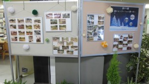 明日から緑のセンターフォト展　～冬～　が始まります！