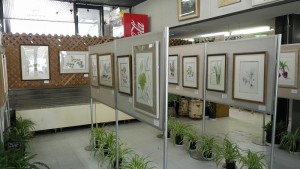 明日からボタニカルアート展が始まります