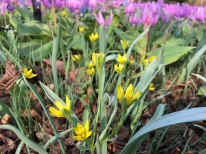 IMG_4879 - コピー