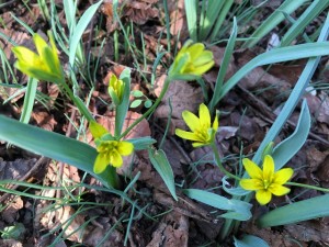 IMG_4880 - コピー