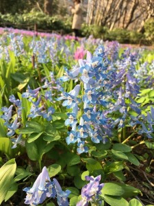 IMG_4886 - コピー