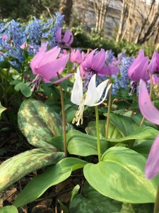 IMG_4887 - コピー