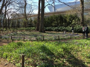 ゴールデンウィーク3日目とセンターだより