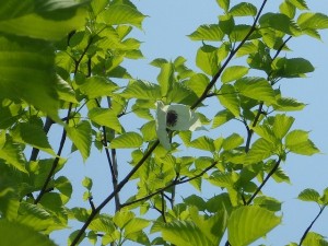 今日はとっても暖かいですね！