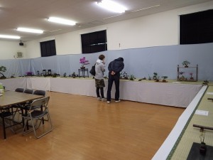 「春の風流盆栽展」開催中！＆ムスカリの小径が見ごろ！