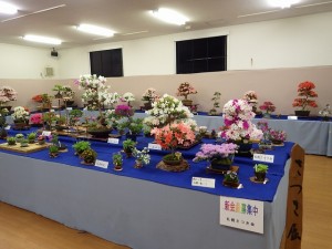 「さつき花季展」開催とセンターだよりと園内の開花情報