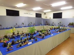 「ミニ盆栽と山野草展」開催と公園の開花情報