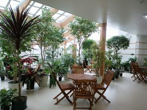 センター内の開花情報とセンターだより