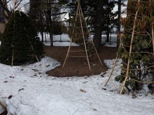 センターだより4月号をお届けします