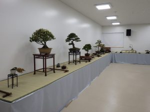 「春の風流盆栽展」が始まります