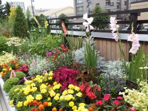 ルーフガーデン道路側