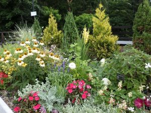 ルーフガーデン左側