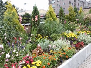 ルーフガーデン中央付近