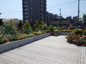 ルーフ花壇　全景