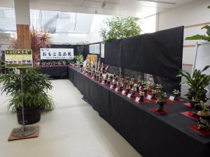 おもと秋季展