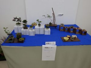 ミニ盆栽を飾る体験コーナー