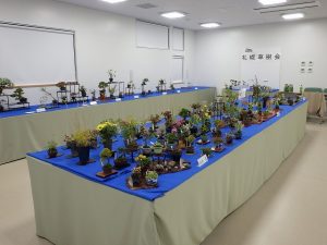 秋のミニ盆栽と山野草展