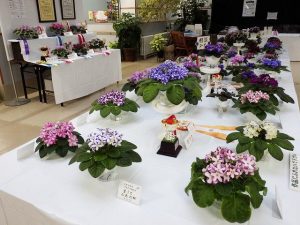 「セントポーリア展」とセンターだより１０月号