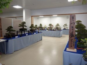 さつき秋季展