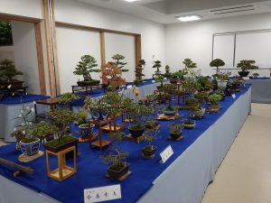 さつき秋季展