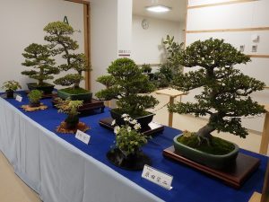 さつき秋季展　席飾り
