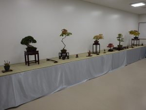 「秋の風流盆栽展」と園内の紅葉