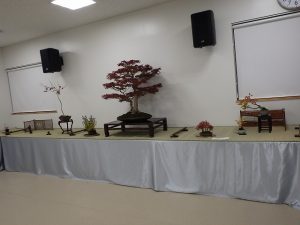 秋の風流盆栽展