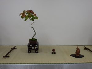 どんぐりつきの盆栽の席