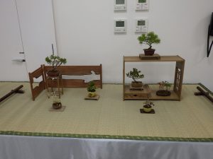 ミニ盆栽の席