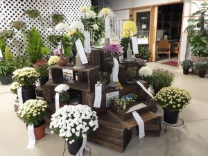 福助、切り花、盆栽･盆景、ドーム